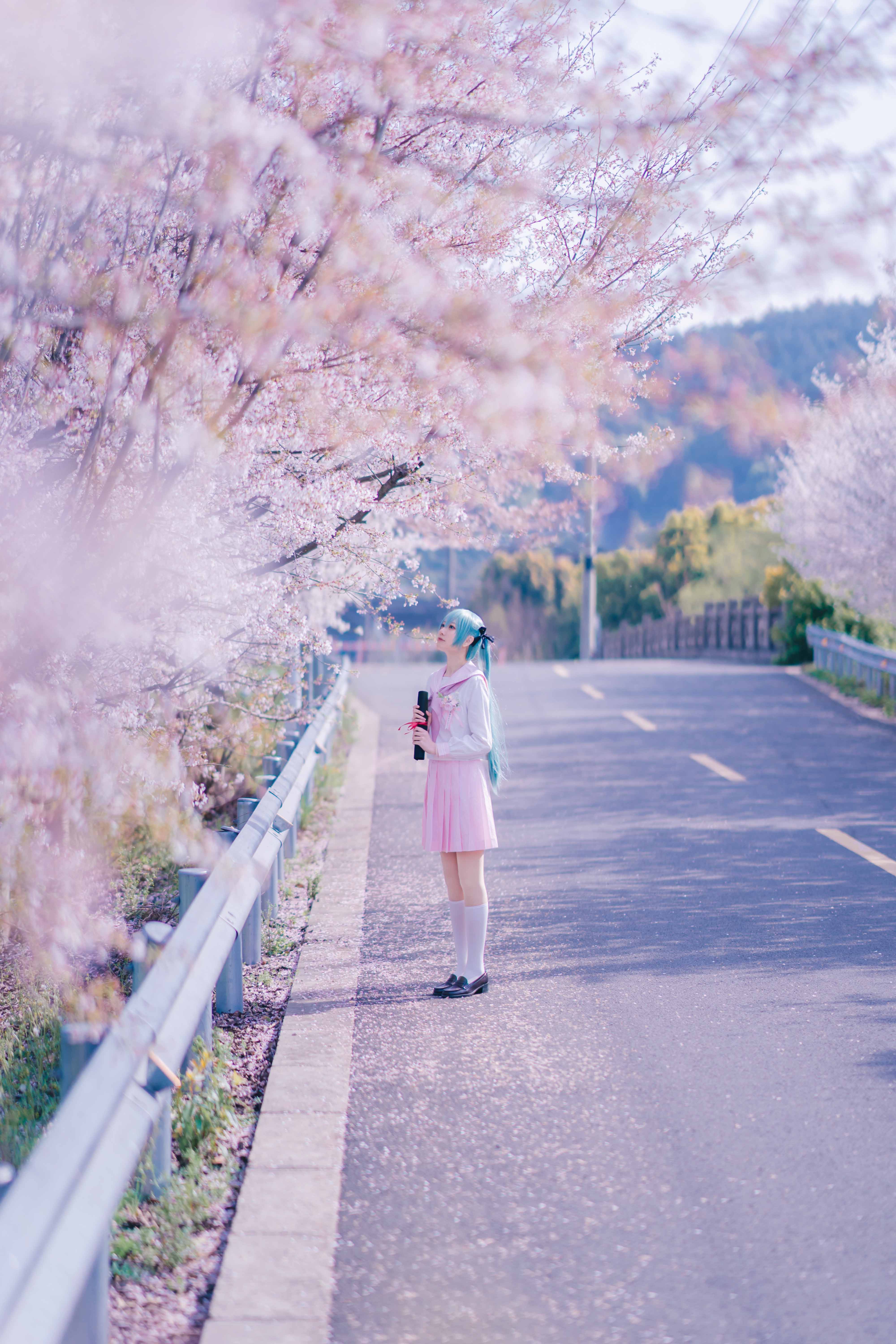 图片[12]-二次元COS分享[COSplay]初音未来  ❀～桜ノ雨～❀-二次元COS分享次元吧