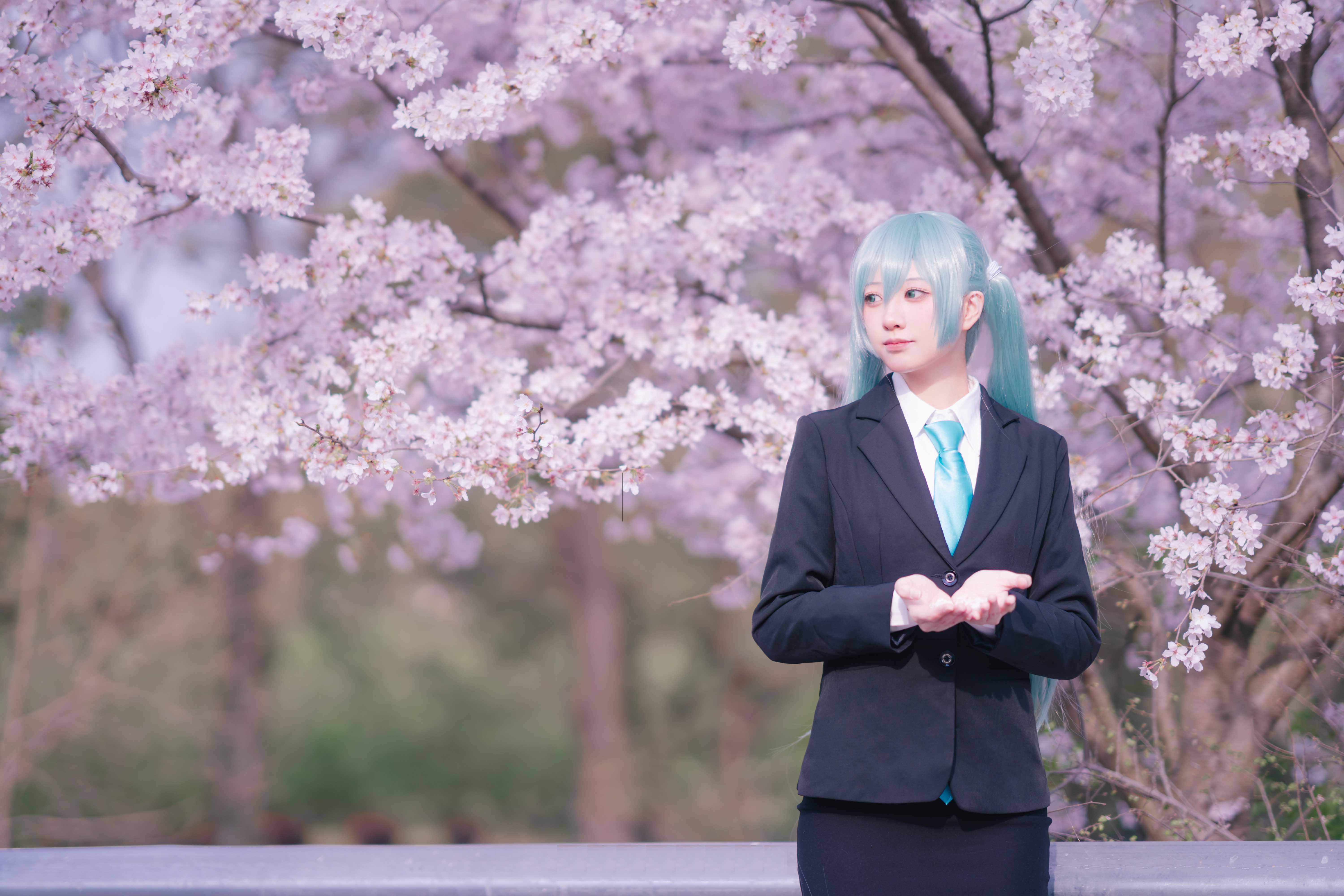 图片[1]-二次元COS分享[COSplay]初音未来  ❀～桜ノ雨～❀-二次元COS分享次元吧