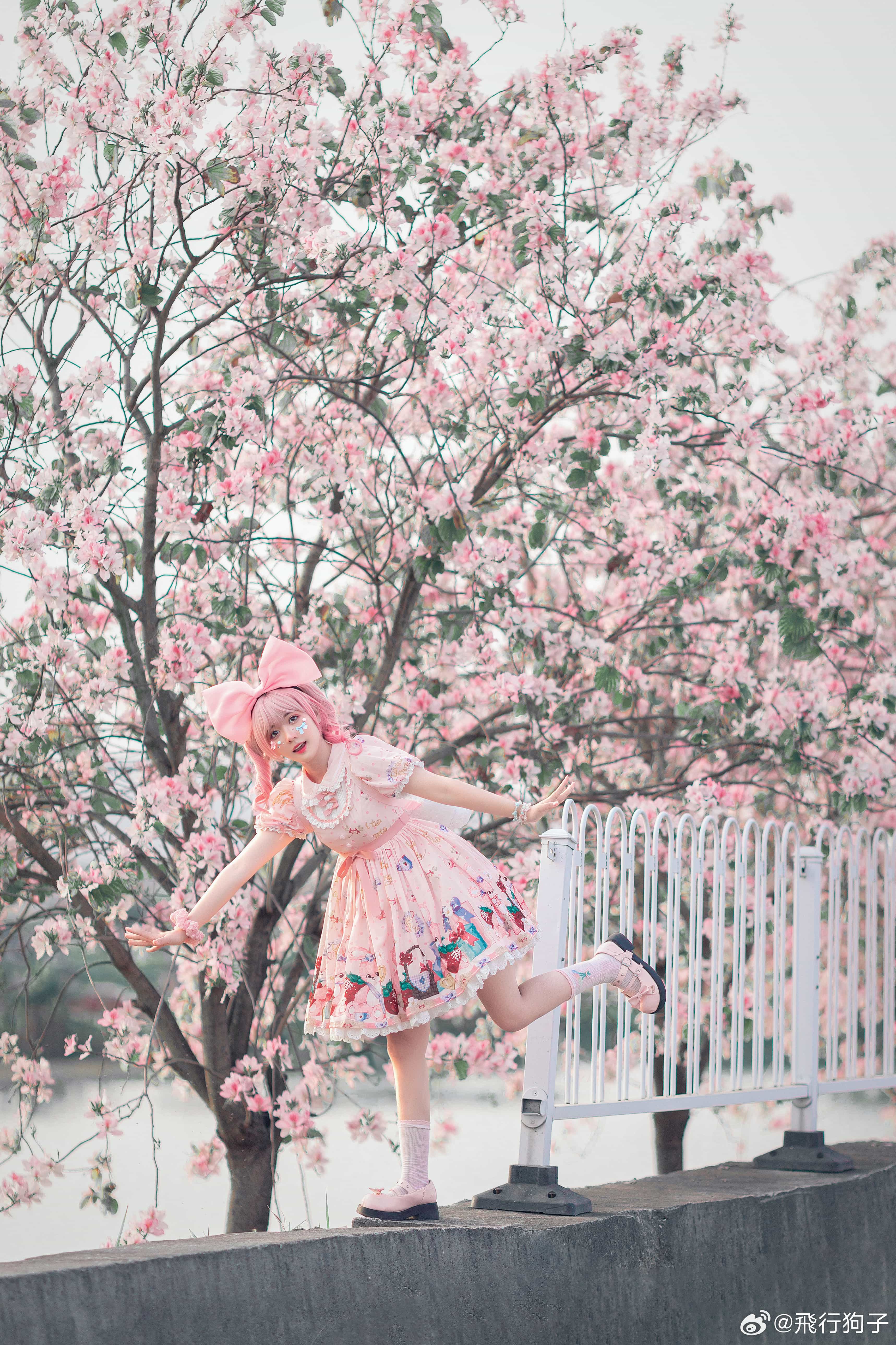 图片[4]-二次元COS分享[Lolita]春日影像诗-二次元COS分享次元吧