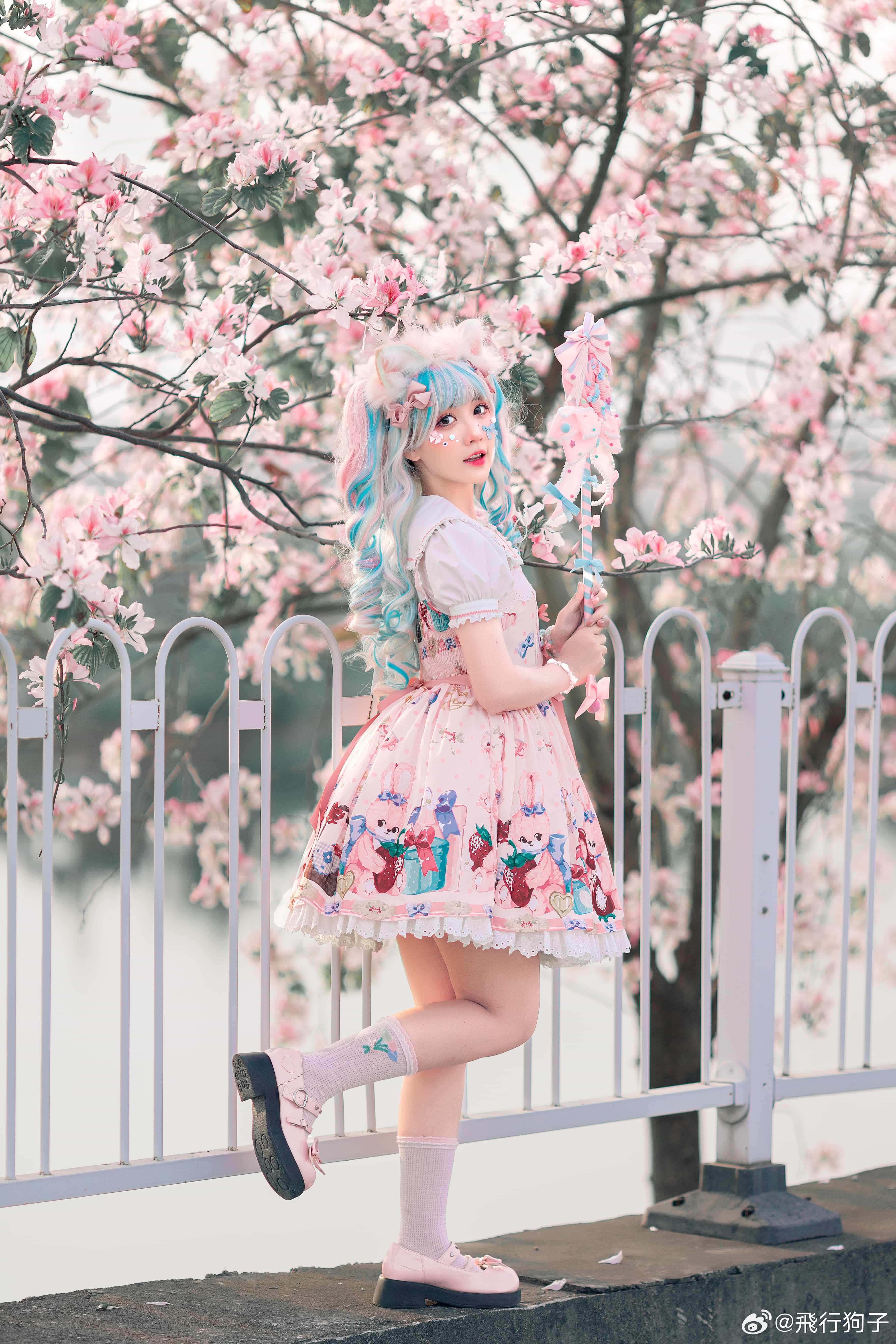 图片[3]-二次元COS分享[Lolita]春日影像诗-二次元COS分享次元吧