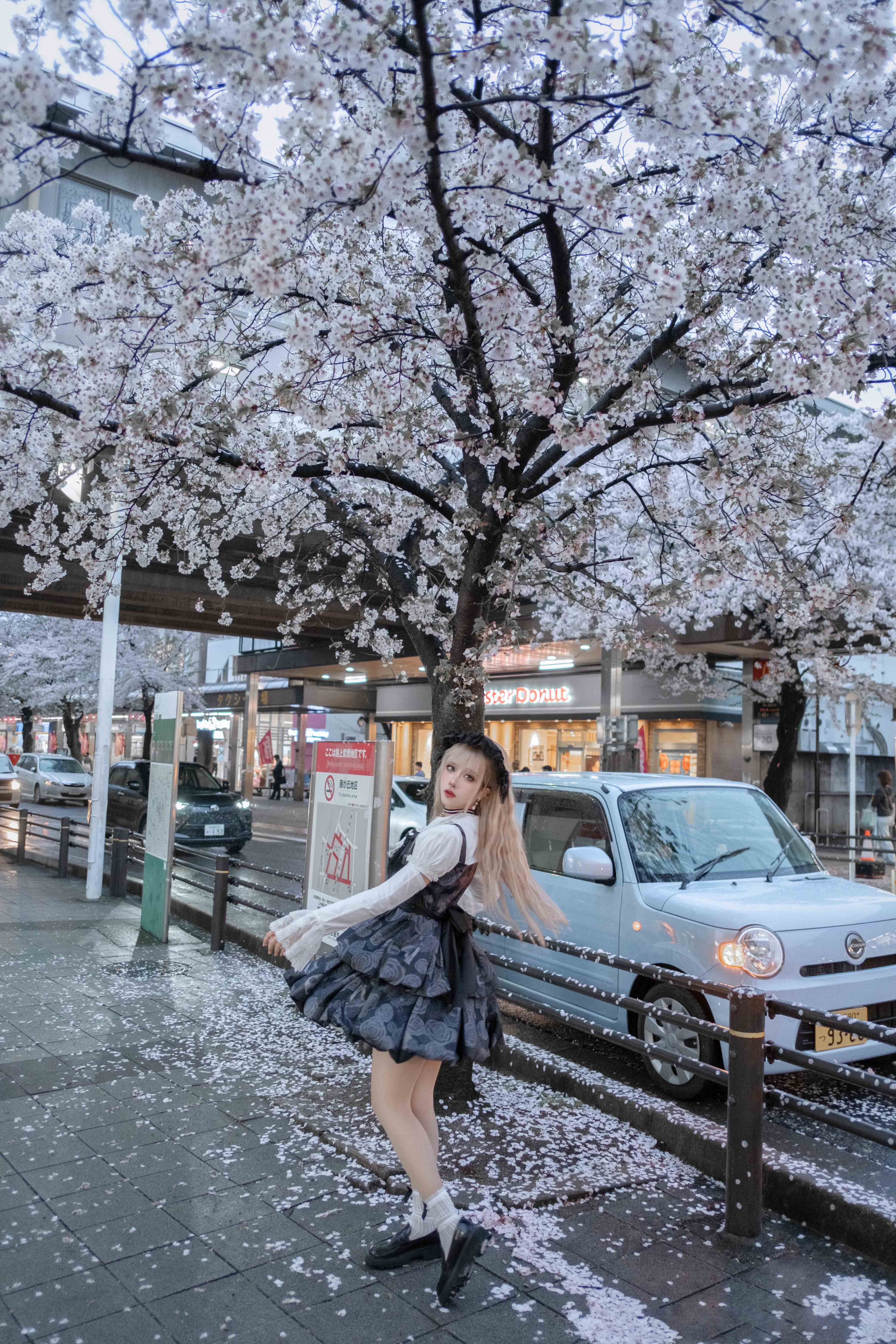 图片[11]-二次元COS分享[Lolita]遇到了一片樱花-二次元COS分享次元吧