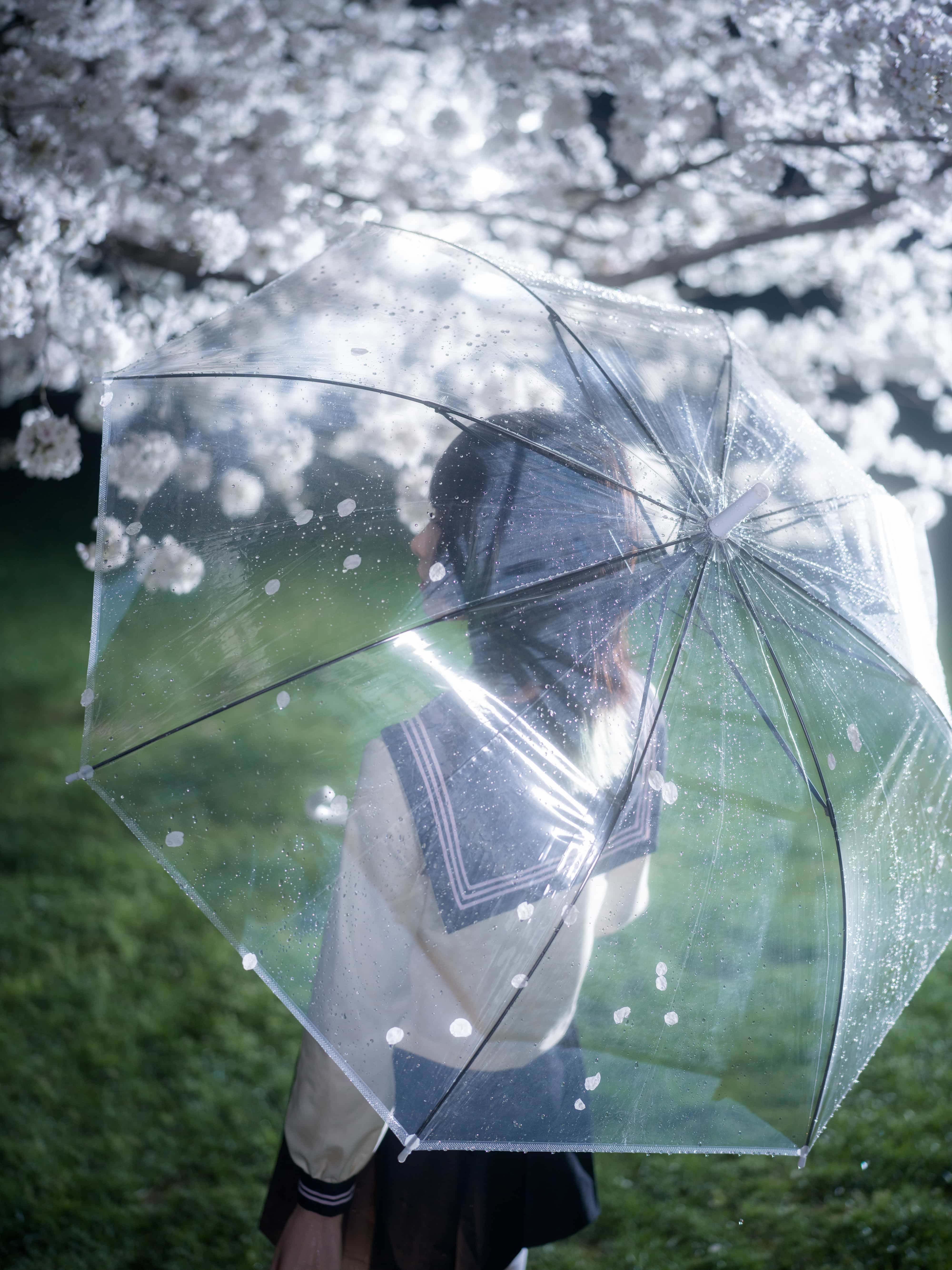 图片[4]-二次元COS分享[JK制服]雨中花 像云的花-二次元COS分享次元吧