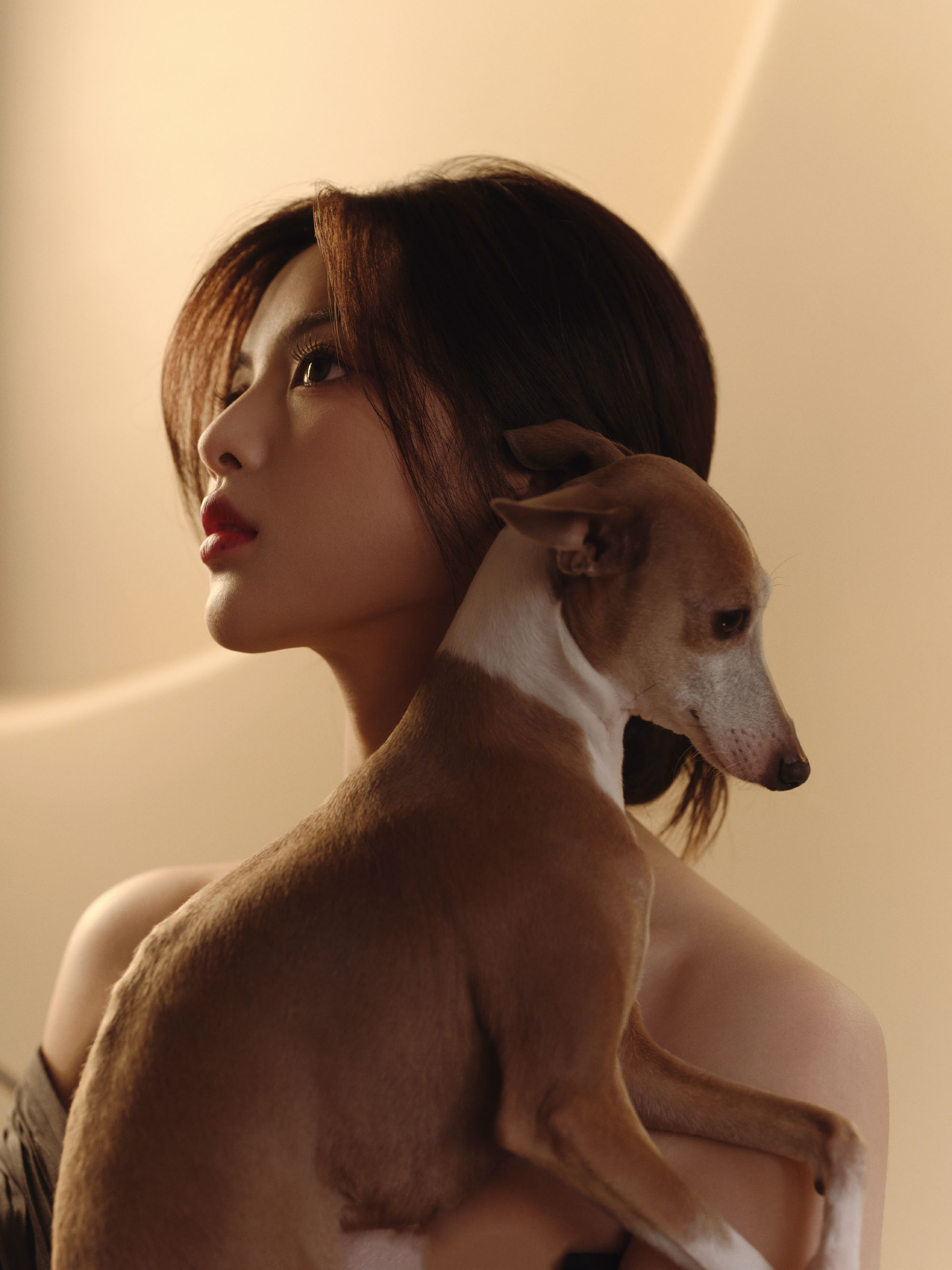 图片[1]-二次元COS分享[明星写真]杨超越身着优雅黑色鱼尾礼裙，尽显曼妙身姿与高贵气质。-二次元COS分享次元吧