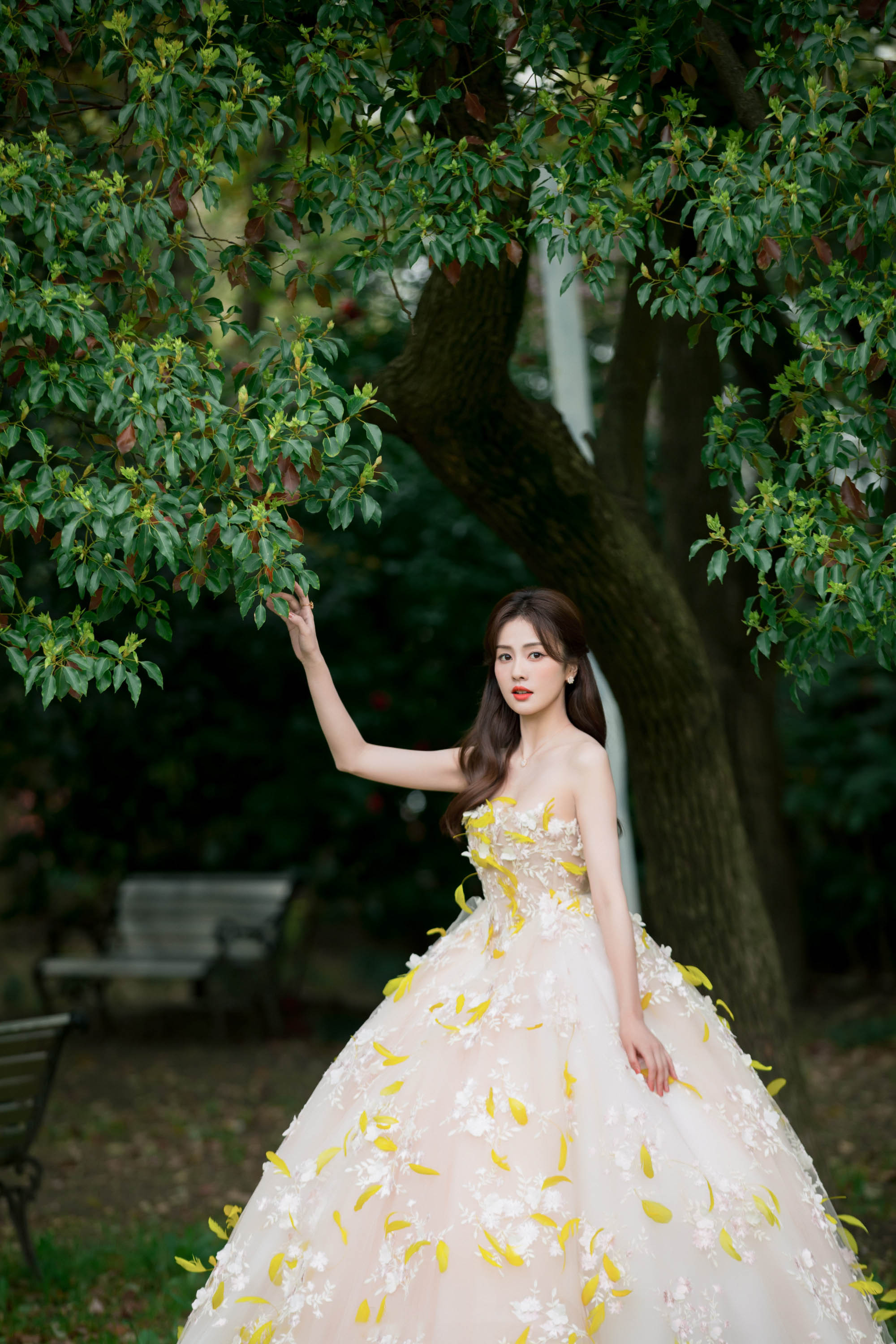 图片[3]-二次元COS分享[明星写真]白鹿身着柔美长裙，步履间尽显轻盈与甜美。-二次元COS分享次元吧