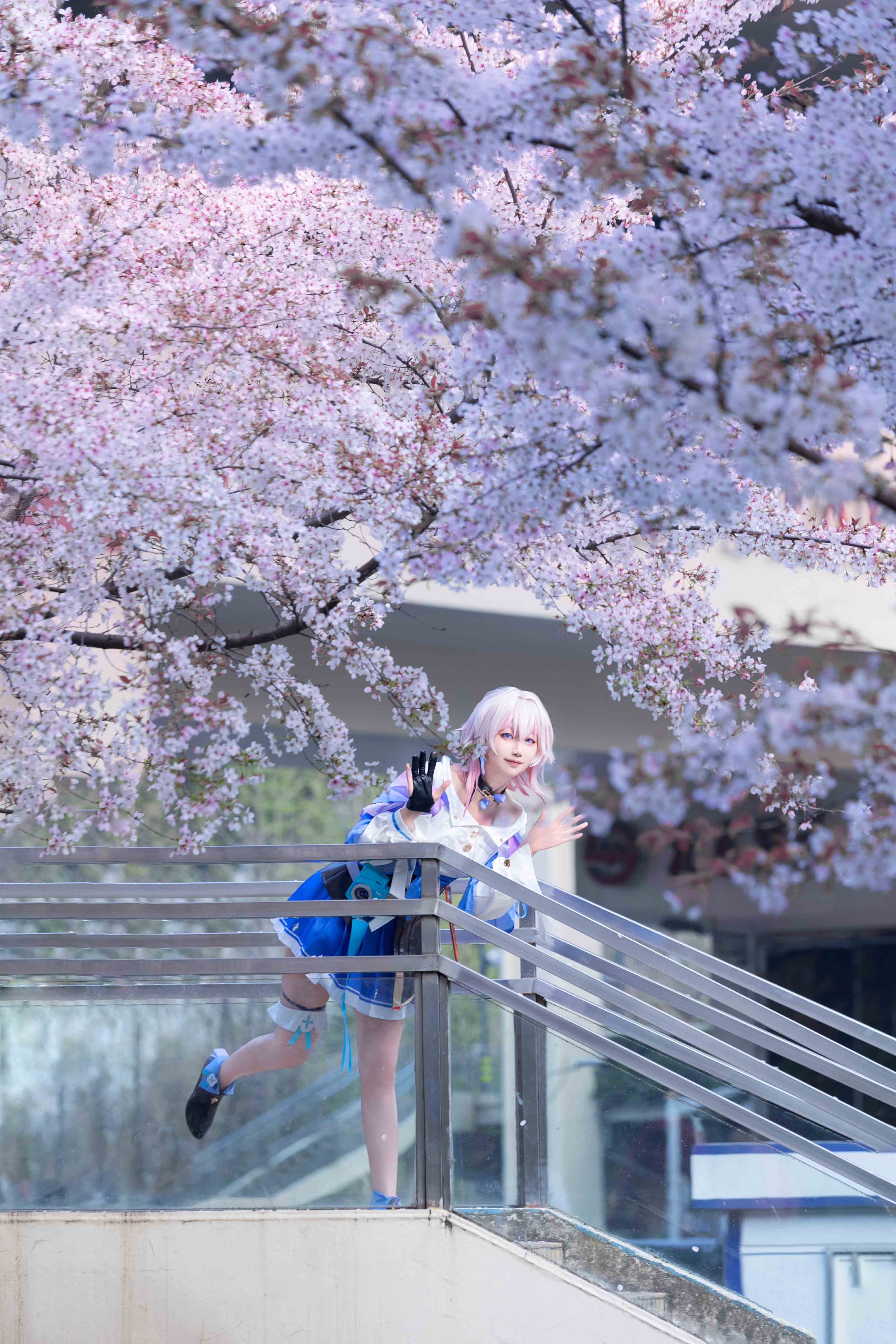 图片[7]-二次元COS分享[COSplay]本姑娘，就是三月七！-二次元COS分享次元吧