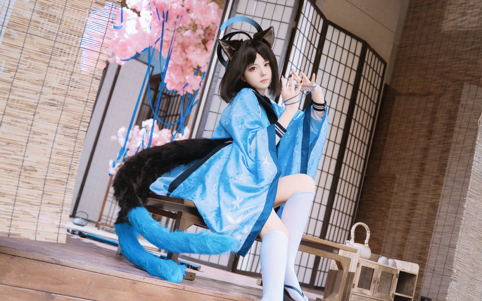 图片[1]-二次元COS分享[COSplay]我会全心全意撒娇，请您做好觉悟-二次元COS分享次元吧