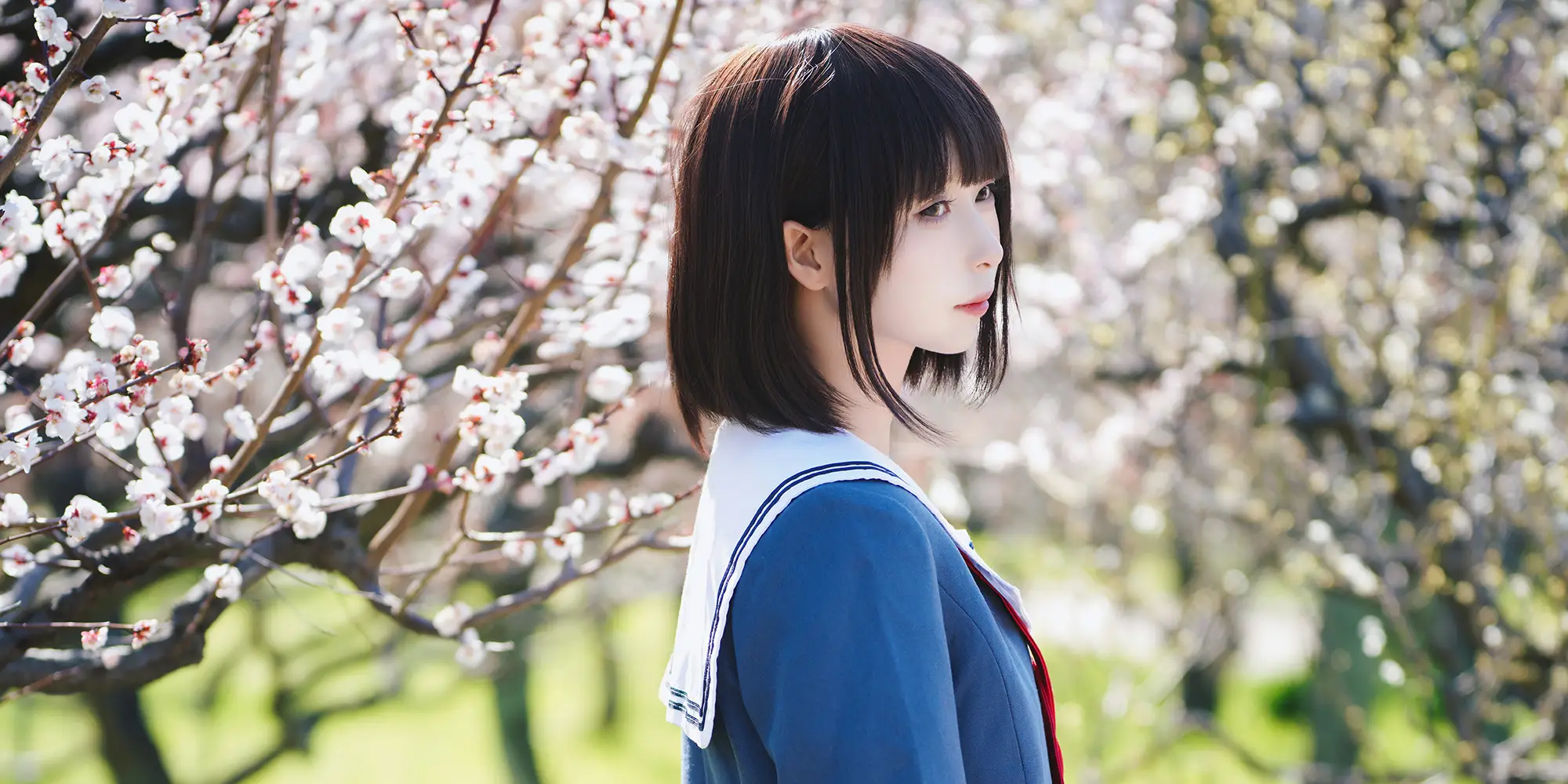 图片[4]-二次元COS分享[COSplay]路人女主的养成方法 加藤惠-二次元COS分享次元吧