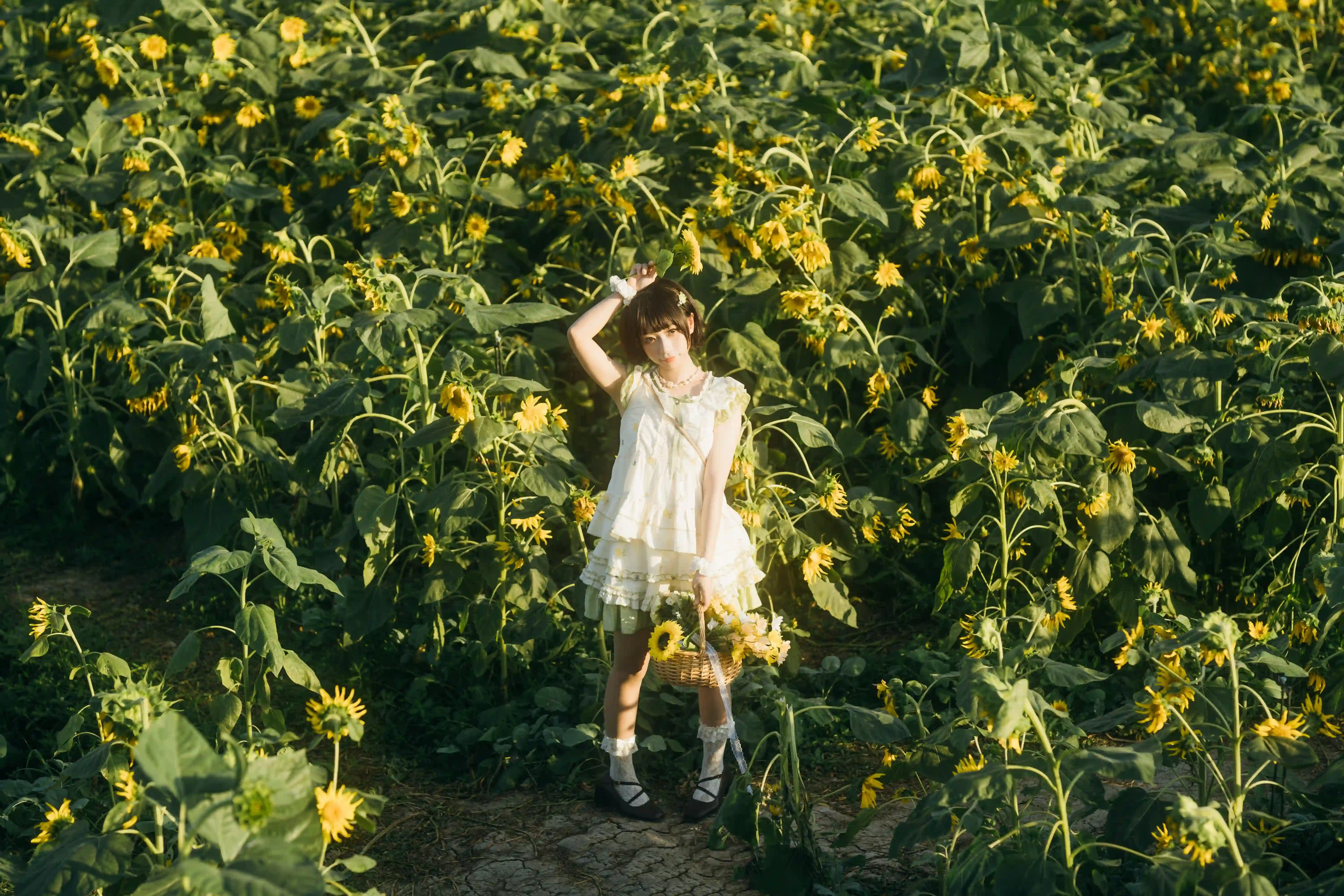 图片[10]-二次元COS分享向日葵之约-提篮少女的浪漫-二次元COS分享次元吧