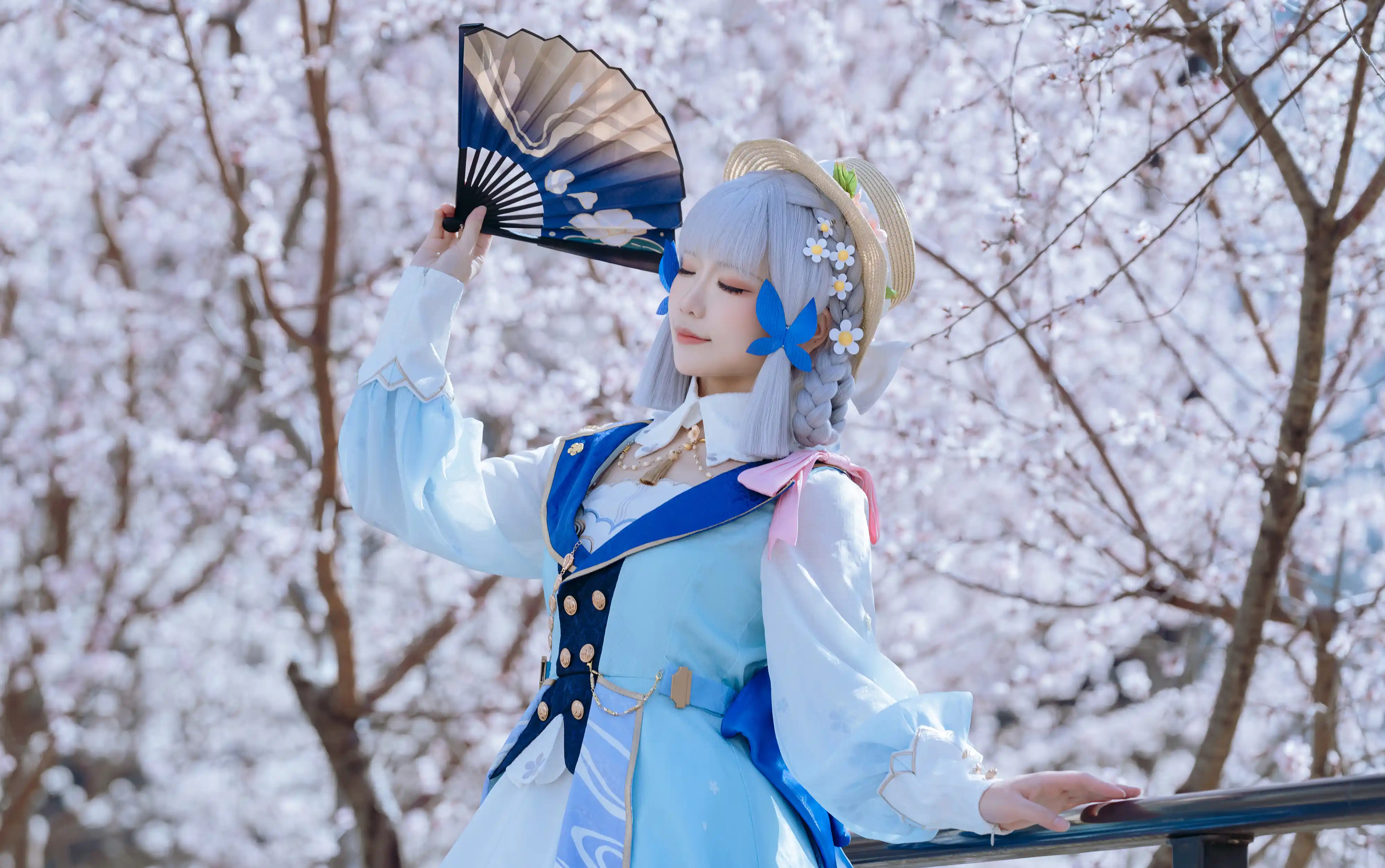 图片[1]-二次元COS分享[COSplay]日光映雪舞，山风闹樱瓣。-二次元COS分享次元吧