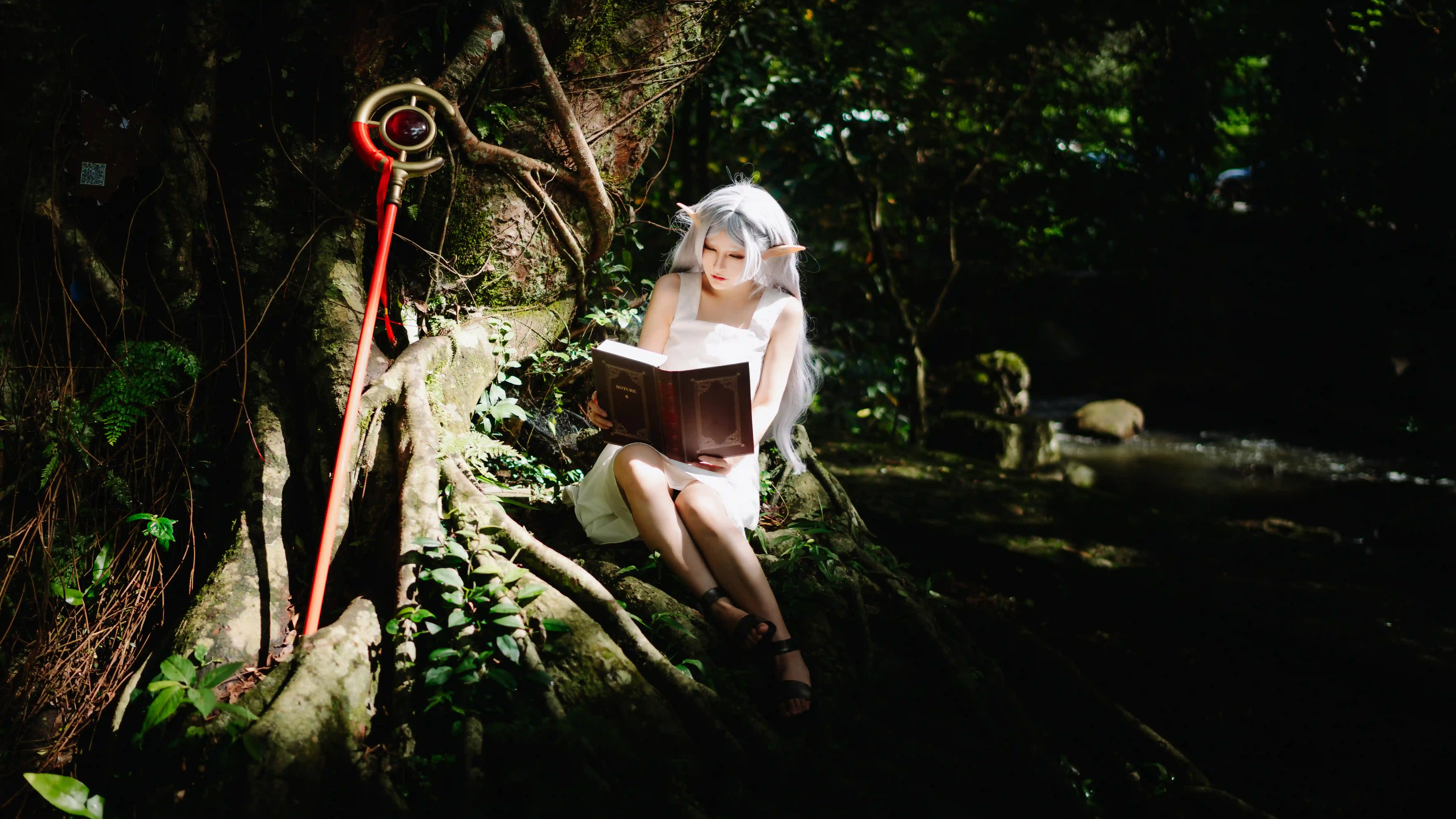 图片[4]-二次元COS分享[COSplay]葬送的芙莉莲 夏日修行-二次元COS分享次元吧