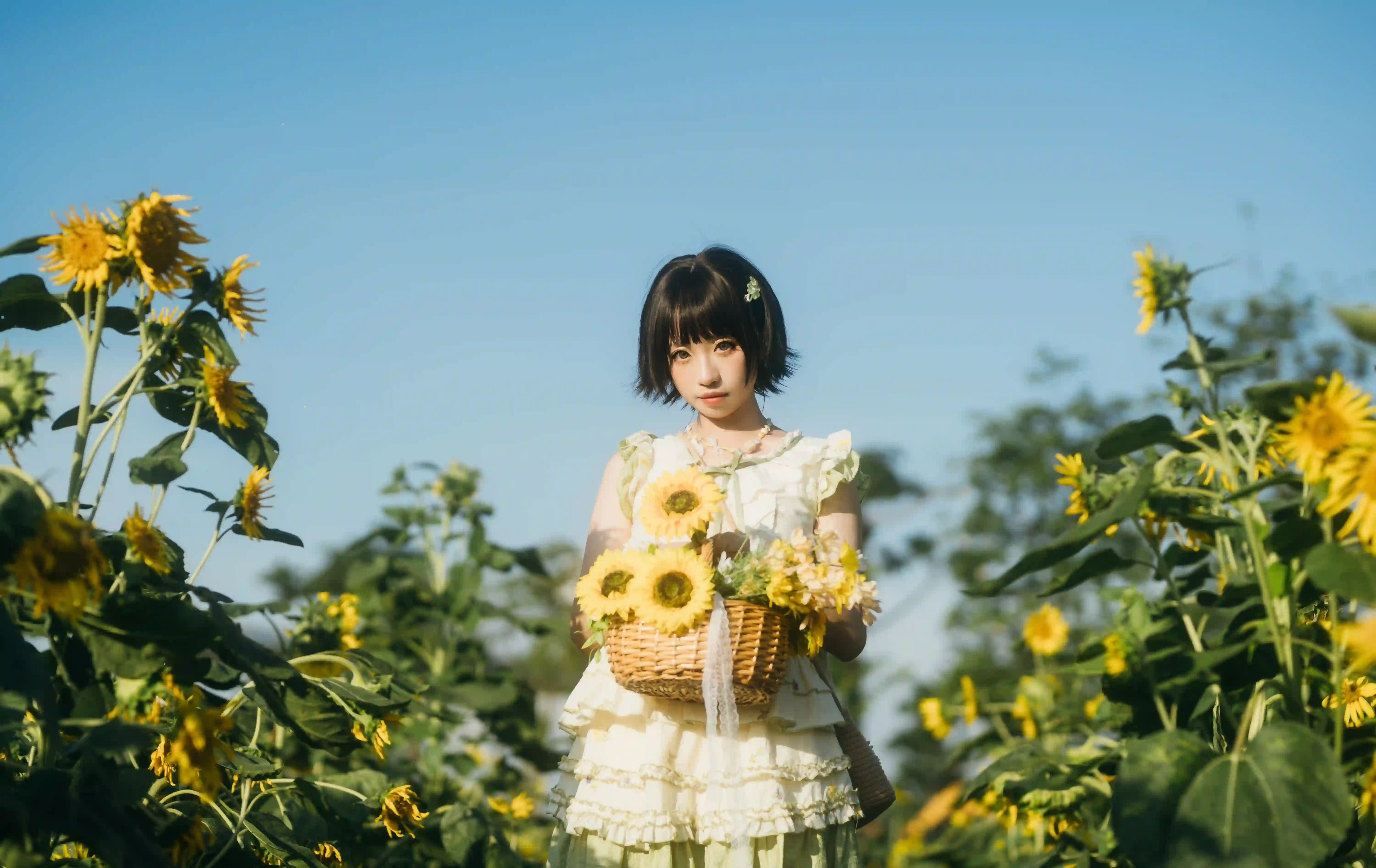 图片[6]-二次元COS分享向日葵之约-提篮少女的浪漫-二次元COS分享次元吧