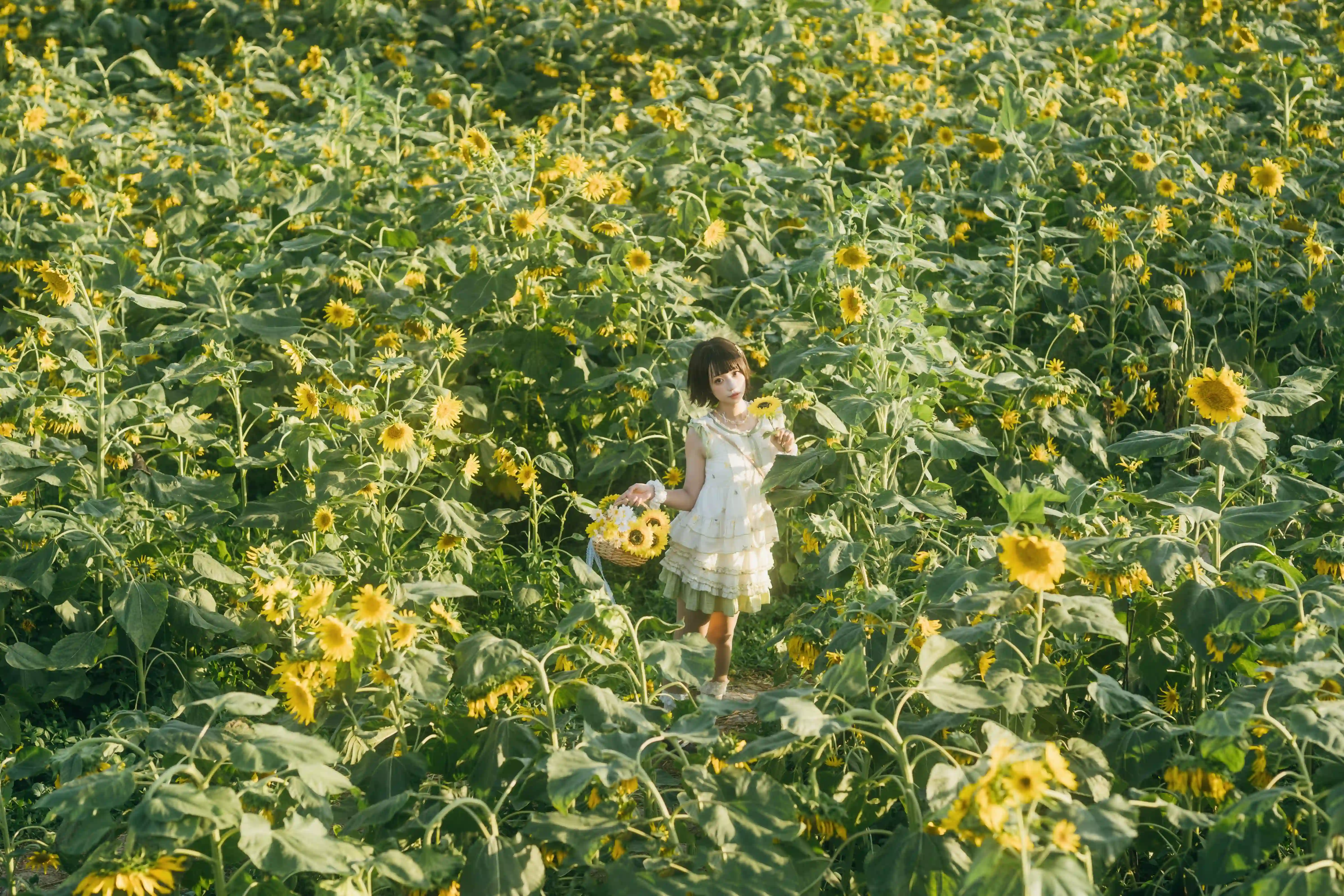 图片[2]-二次元COS分享向日葵之约-提篮少女的浪漫-二次元COS分享次元吧