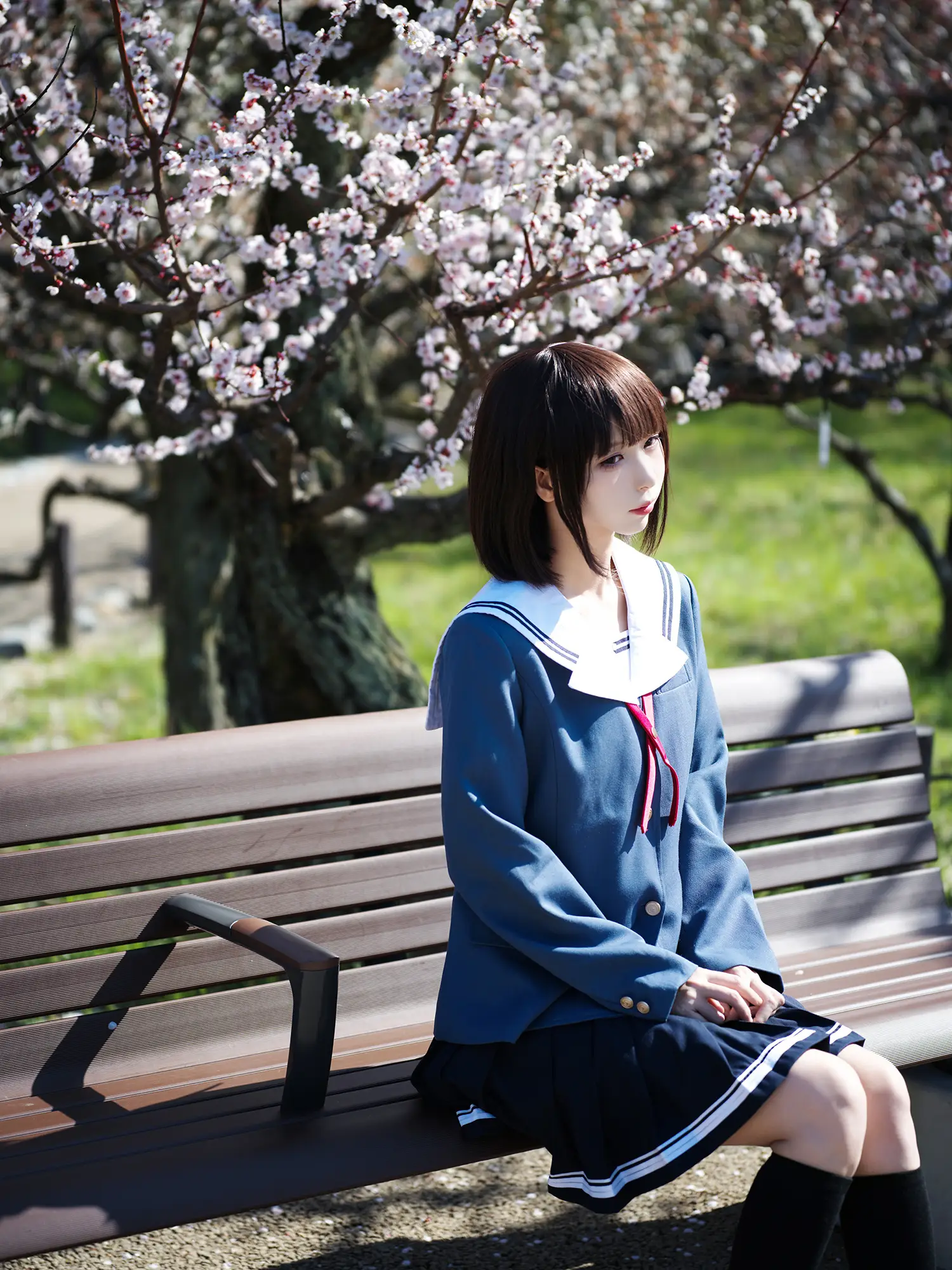 图片[6]-二次元COS分享[COSplay]路人女主的养成方法 加藤惠-二次元COS分享次元吧