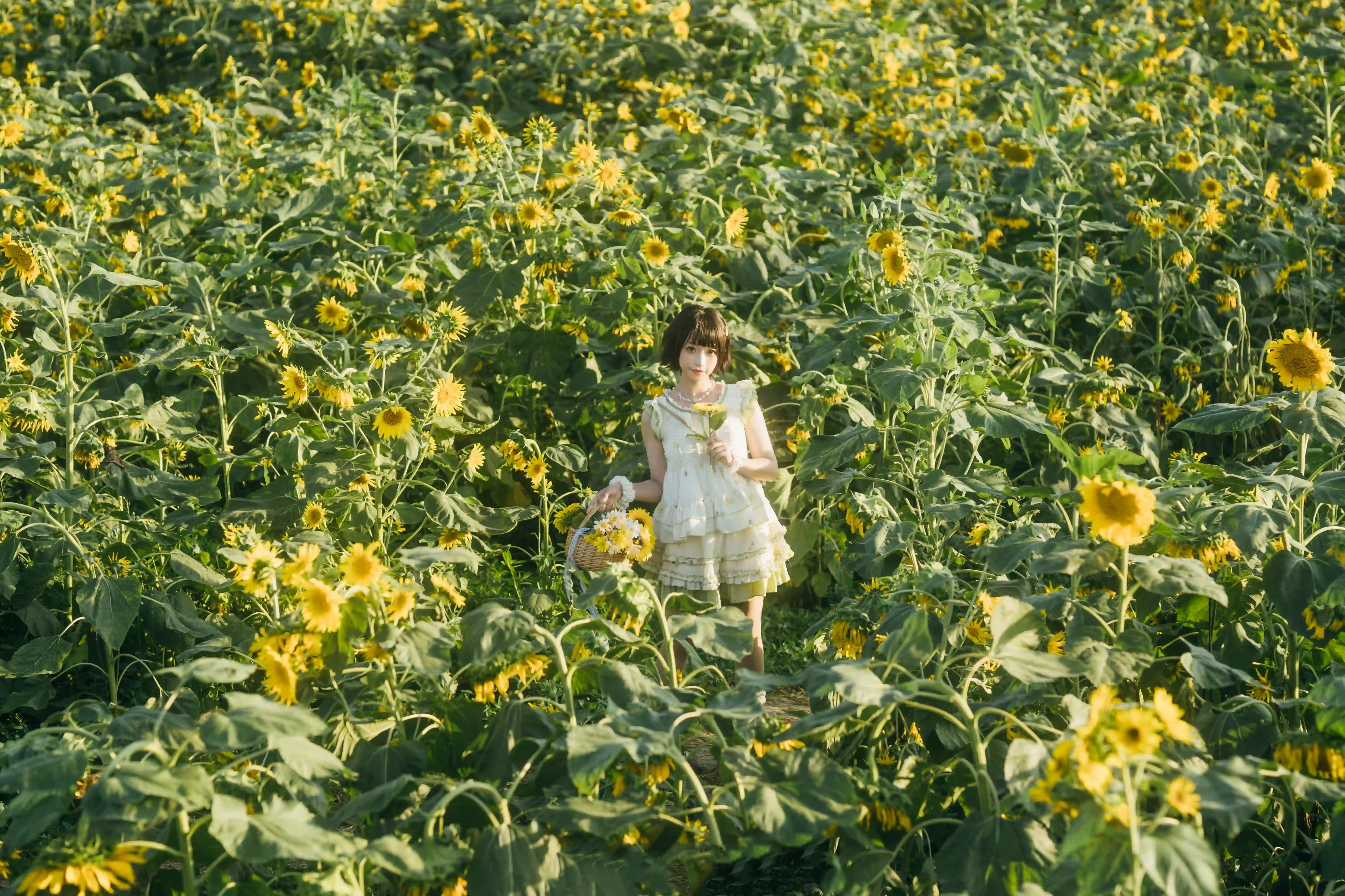 图片[4]-二次元COS分享向日葵之约-提篮少女的浪漫-二次元COS分享次元吧