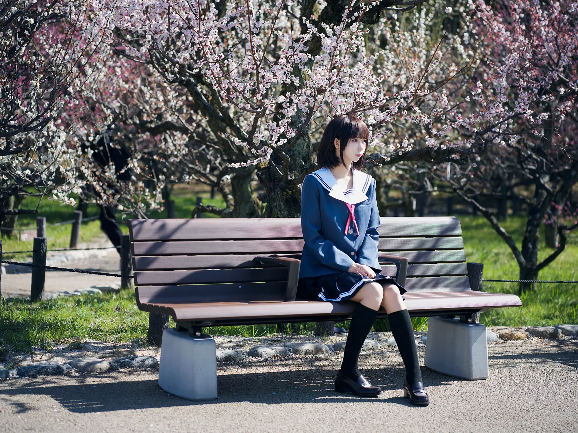 图片[3]-二次元COS分享[COSplay]路人女主的养成方法 加藤惠-二次元COS分享次元吧