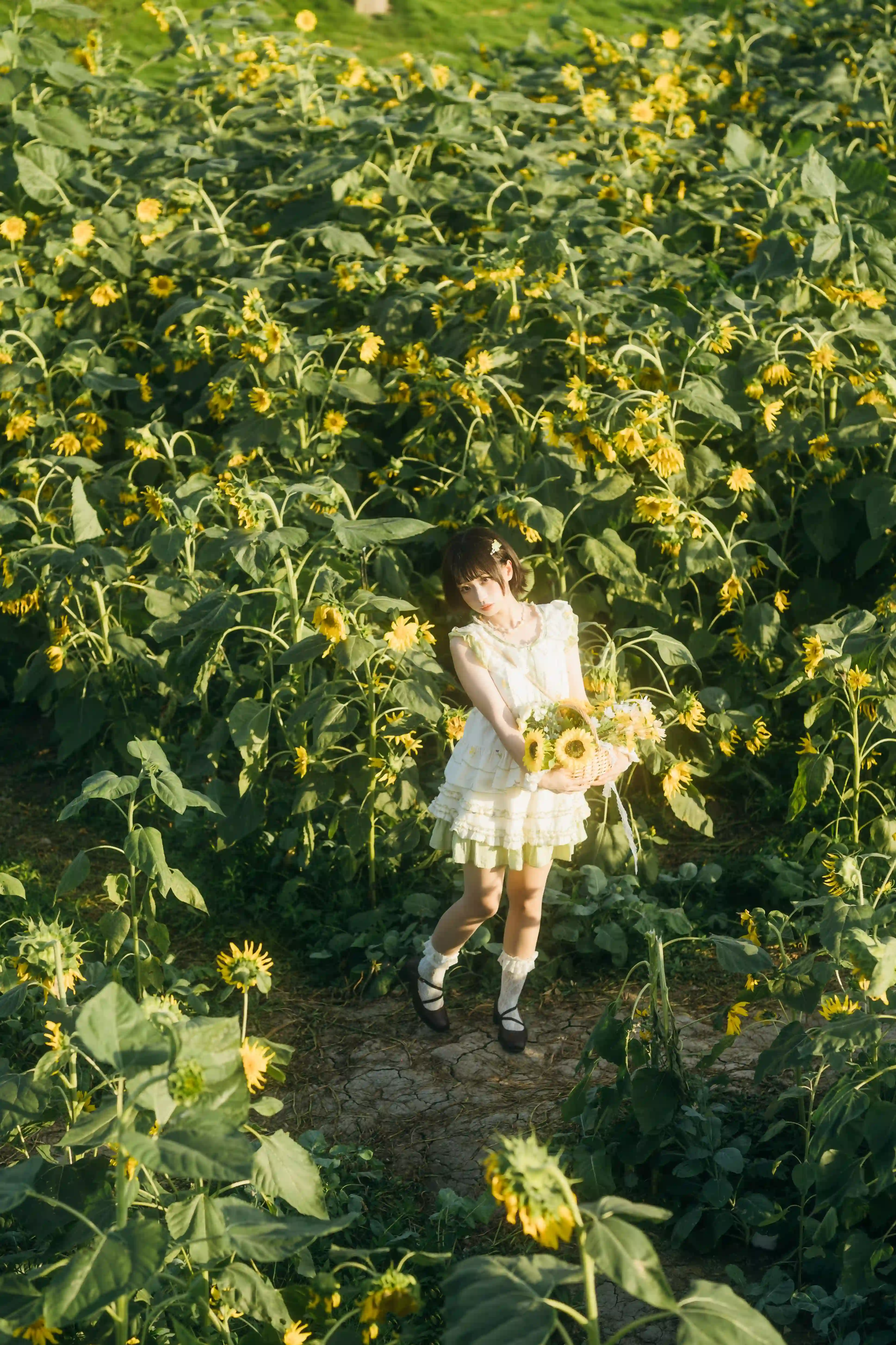 图片[13]-二次元COS分享向日葵之约-提篮少女的浪漫-二次元COS分享次元吧