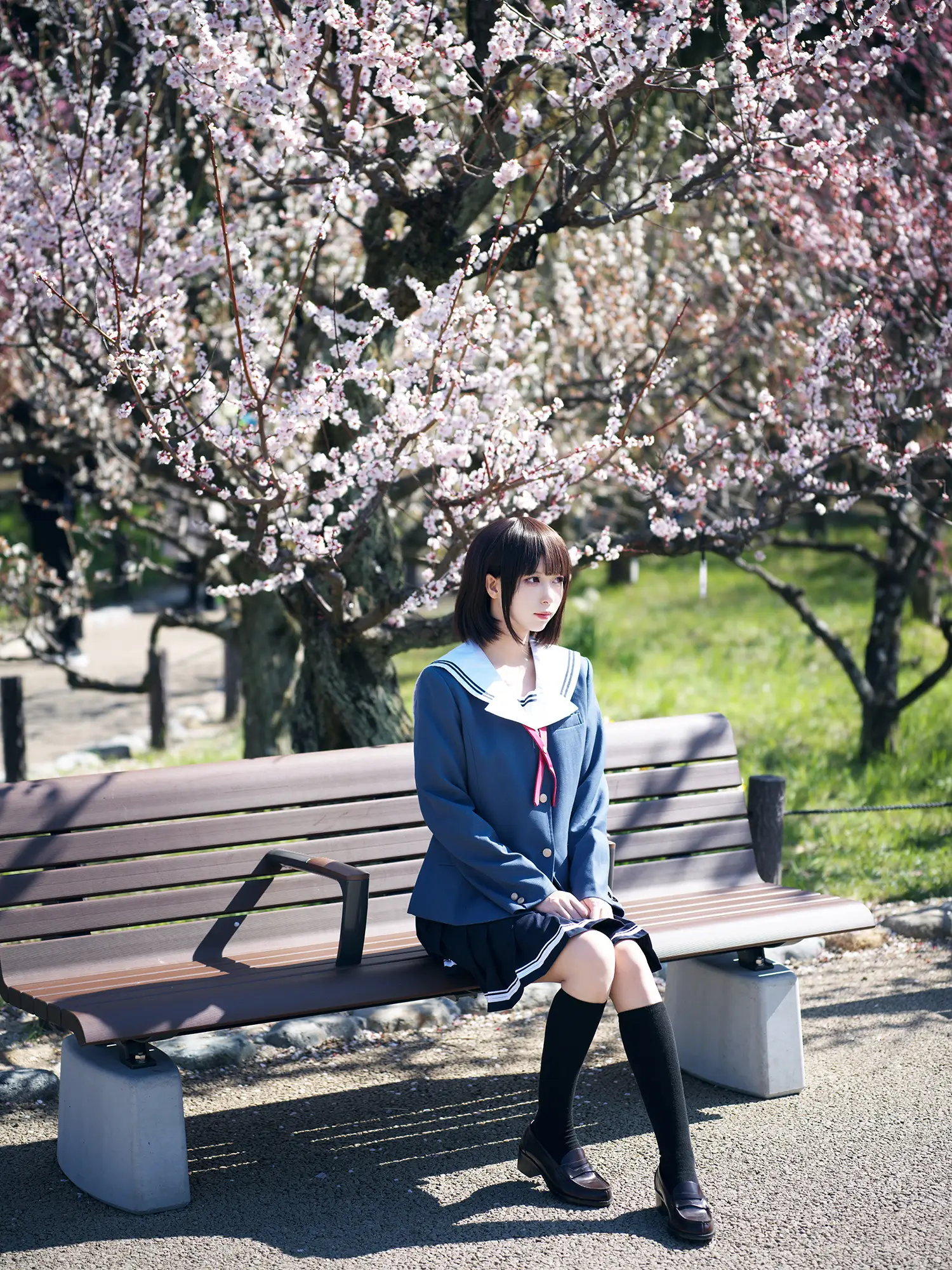 图片[9]-二次元COS分享[COSplay]路人女主的养成方法 加藤惠-二次元COS分享次元吧