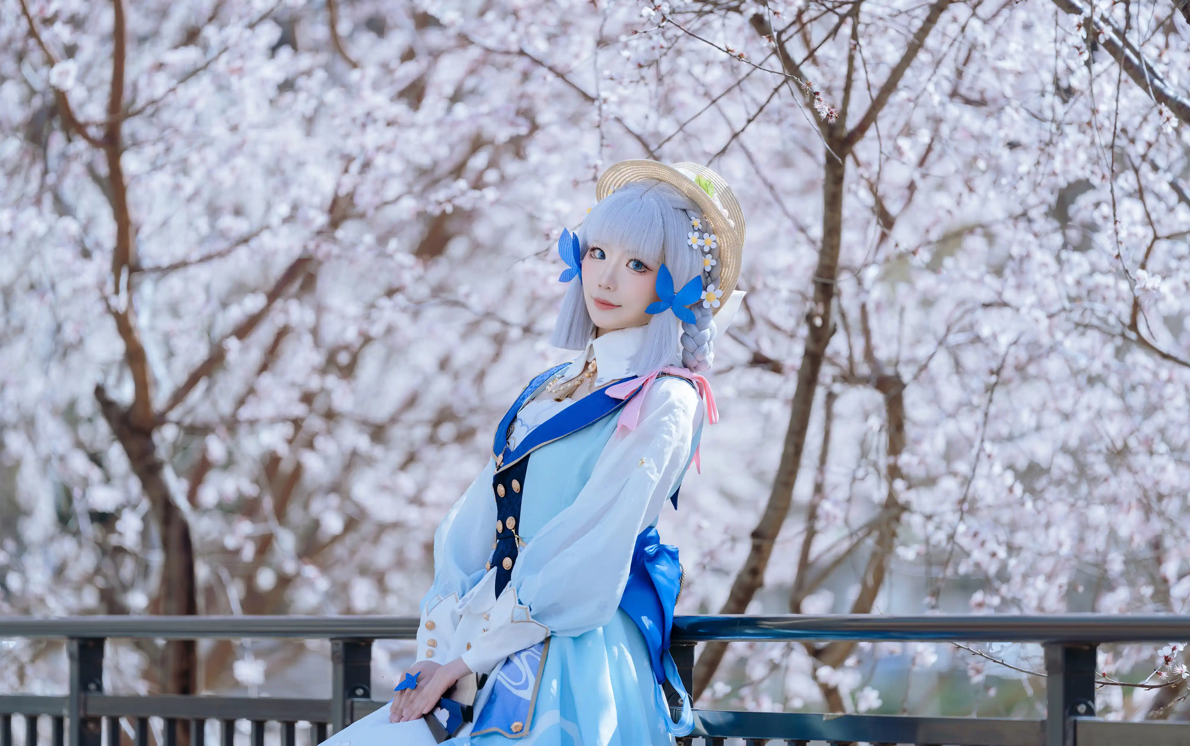 图片[3]-二次元COS分享[COSplay]日光映雪舞，山风闹樱瓣。-二次元COS分享次元吧