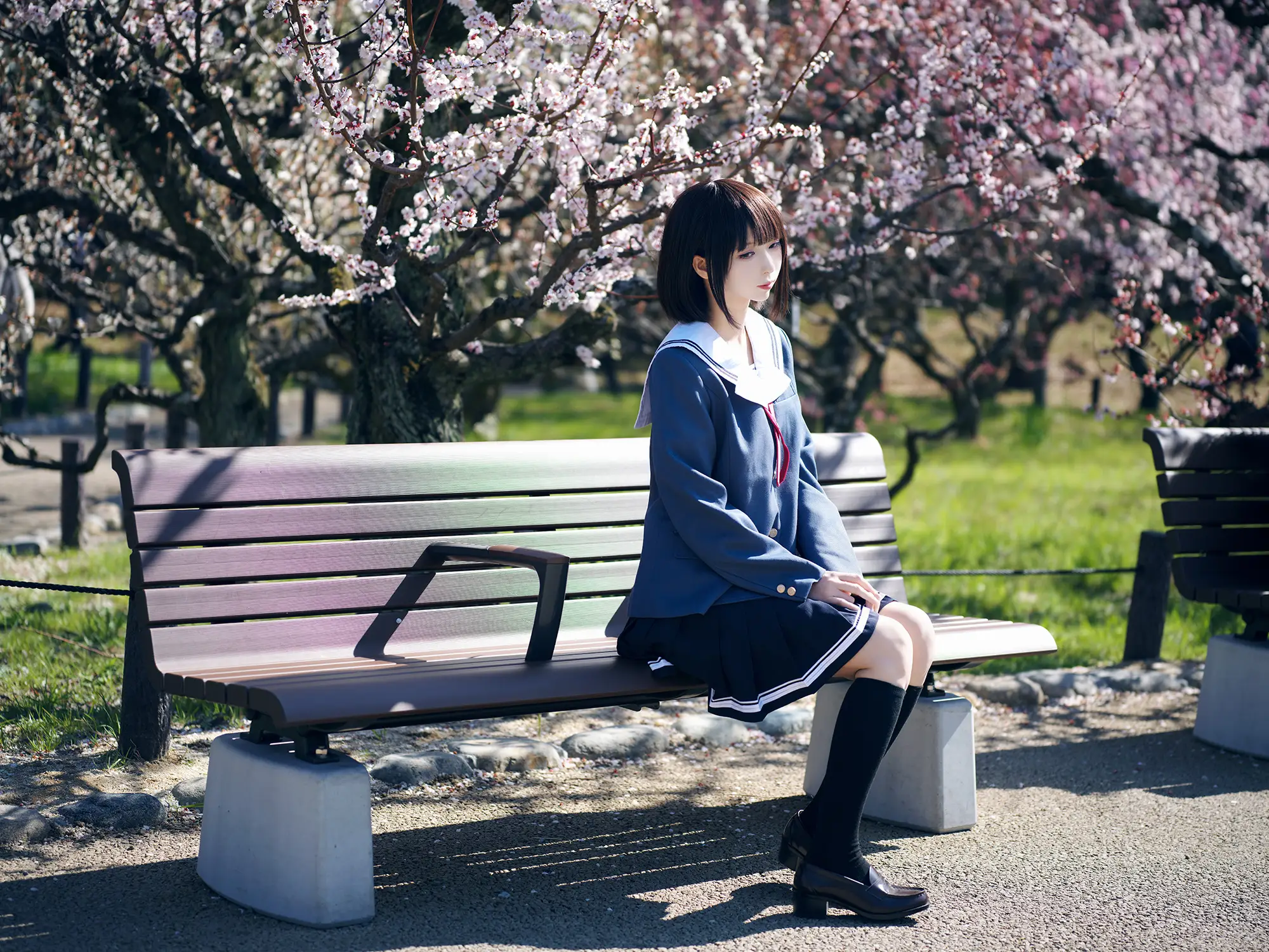 图片[1]-二次元COS分享[COSplay]路人女主的养成方法 加藤惠-二次元COS分享次元吧