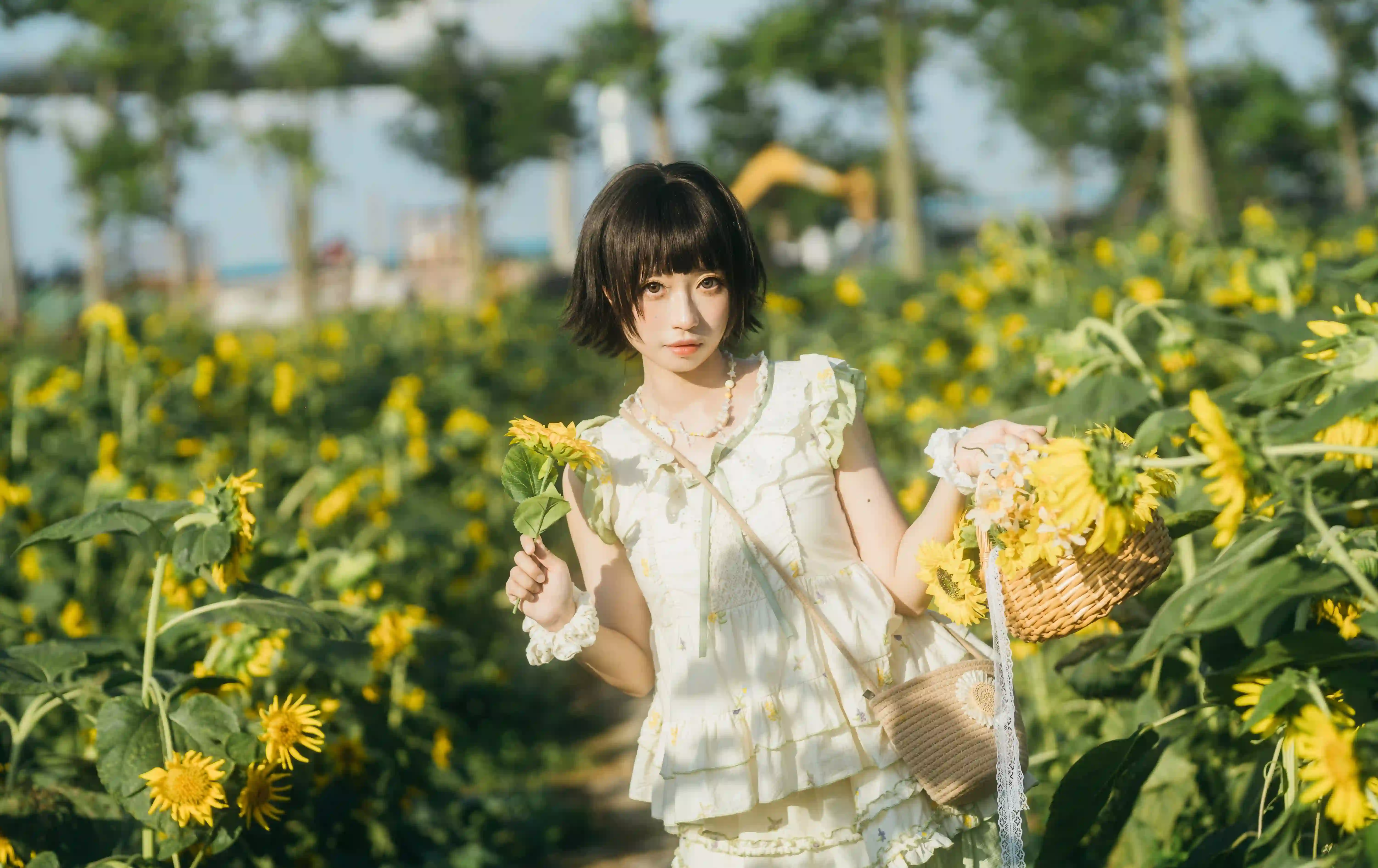 图片[5]-二次元COS分享向日葵之约-提篮少女的浪漫-二次元COS分享次元吧