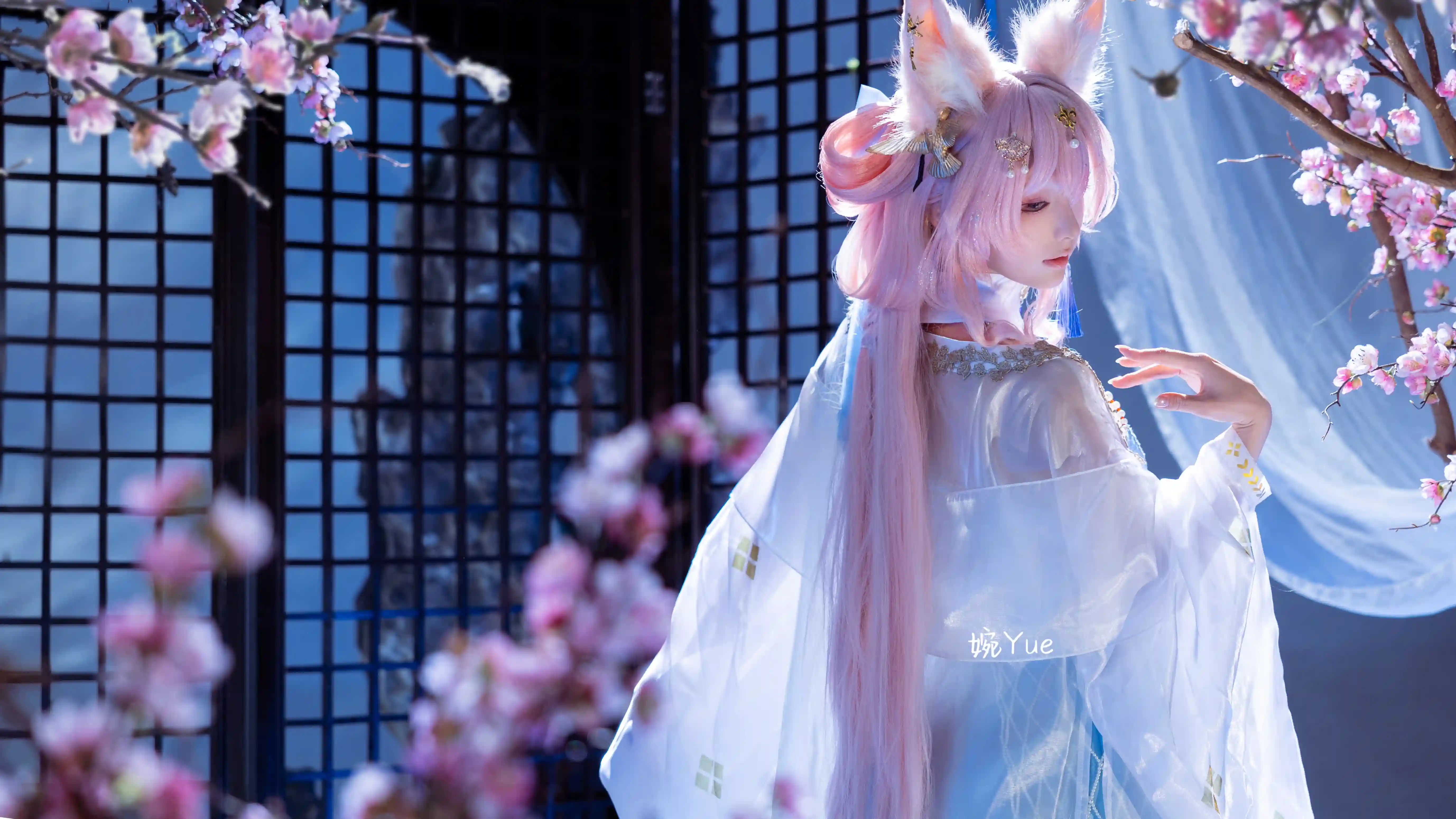 图片[2]-二次元COS分享[COSplay]明日方舟 鸿雪 行梦侧畔-二次元COS分享次元吧