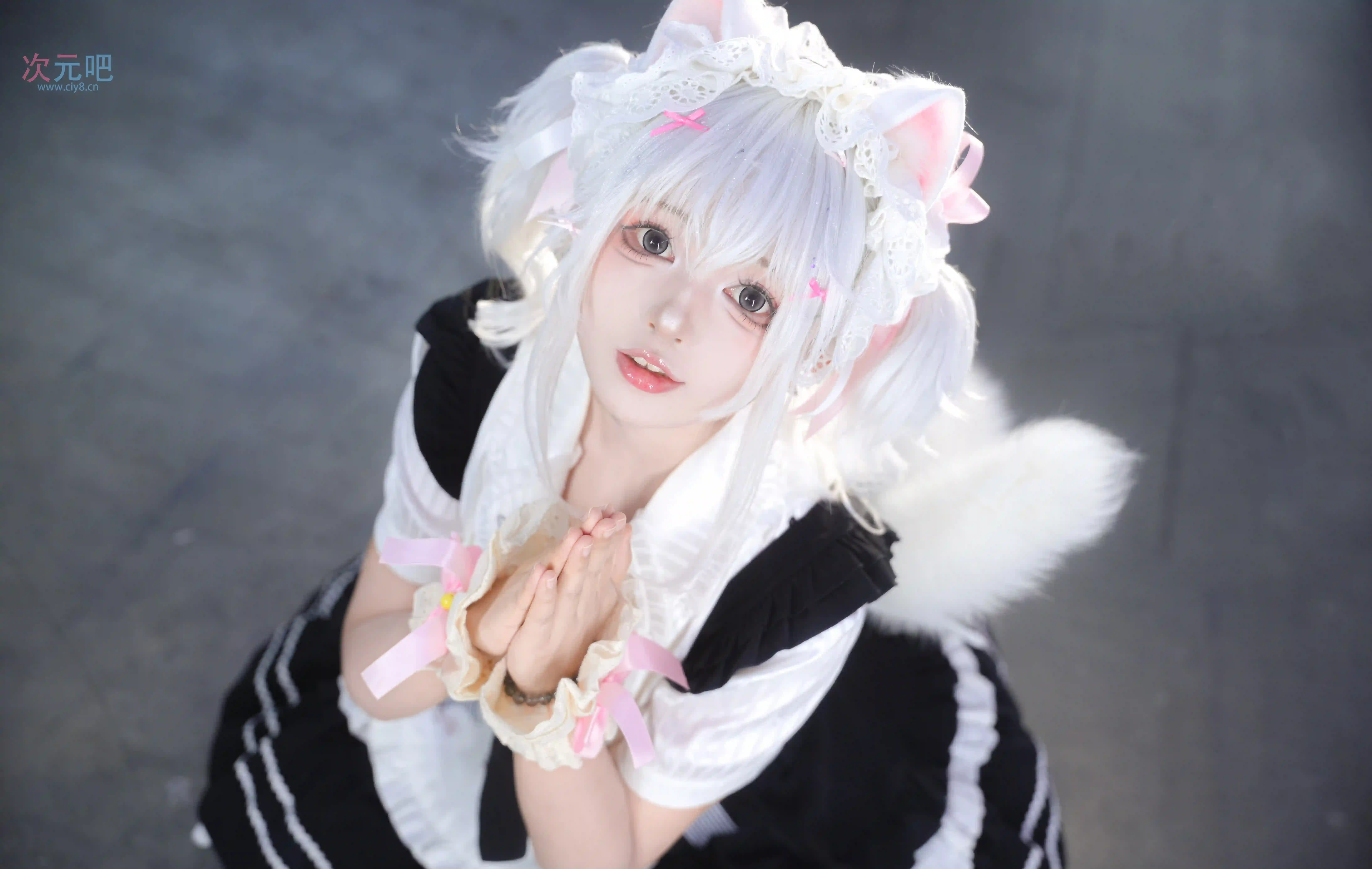 图片[1]-二次元COS分享[COSplay]看起来很聪明的小猫是也-二次元COS分享次元吧