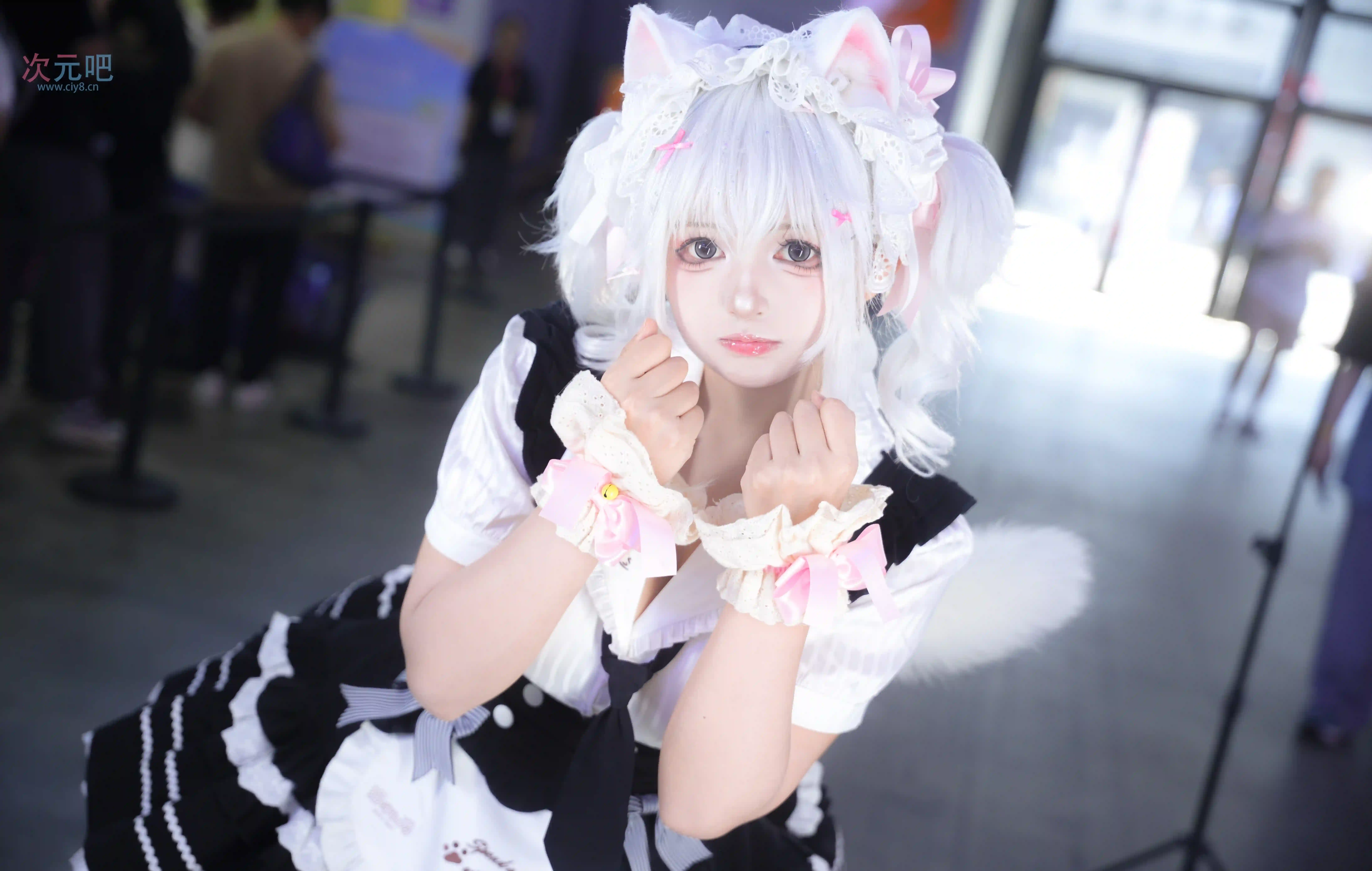 [COSplay]看起来很聪明的小猫是也-二次元COS分享次元吧