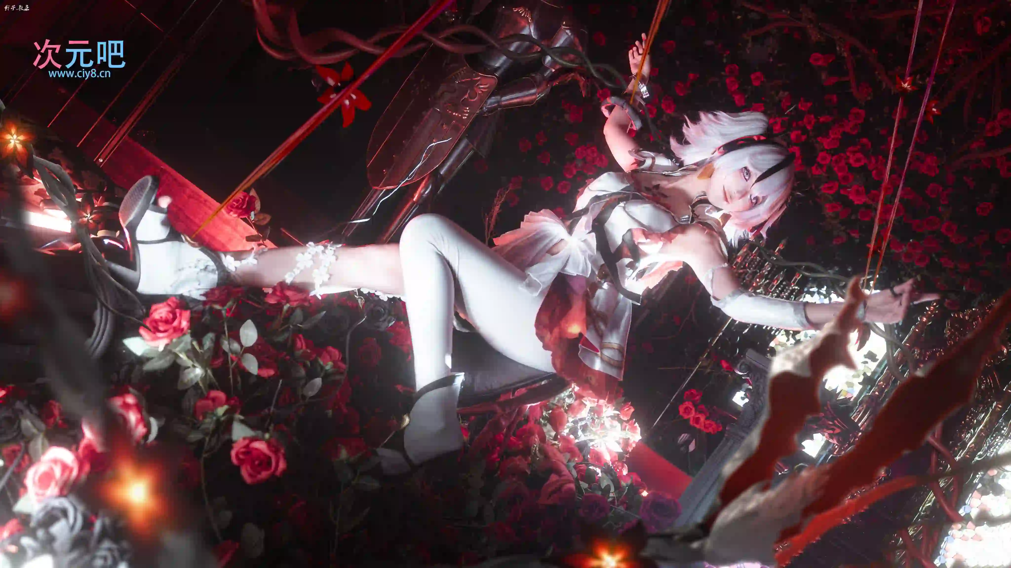 图片[1]-二次元COS分享[COSplay]自欺者，化作椿花养料~-二次元COS分享次元吧