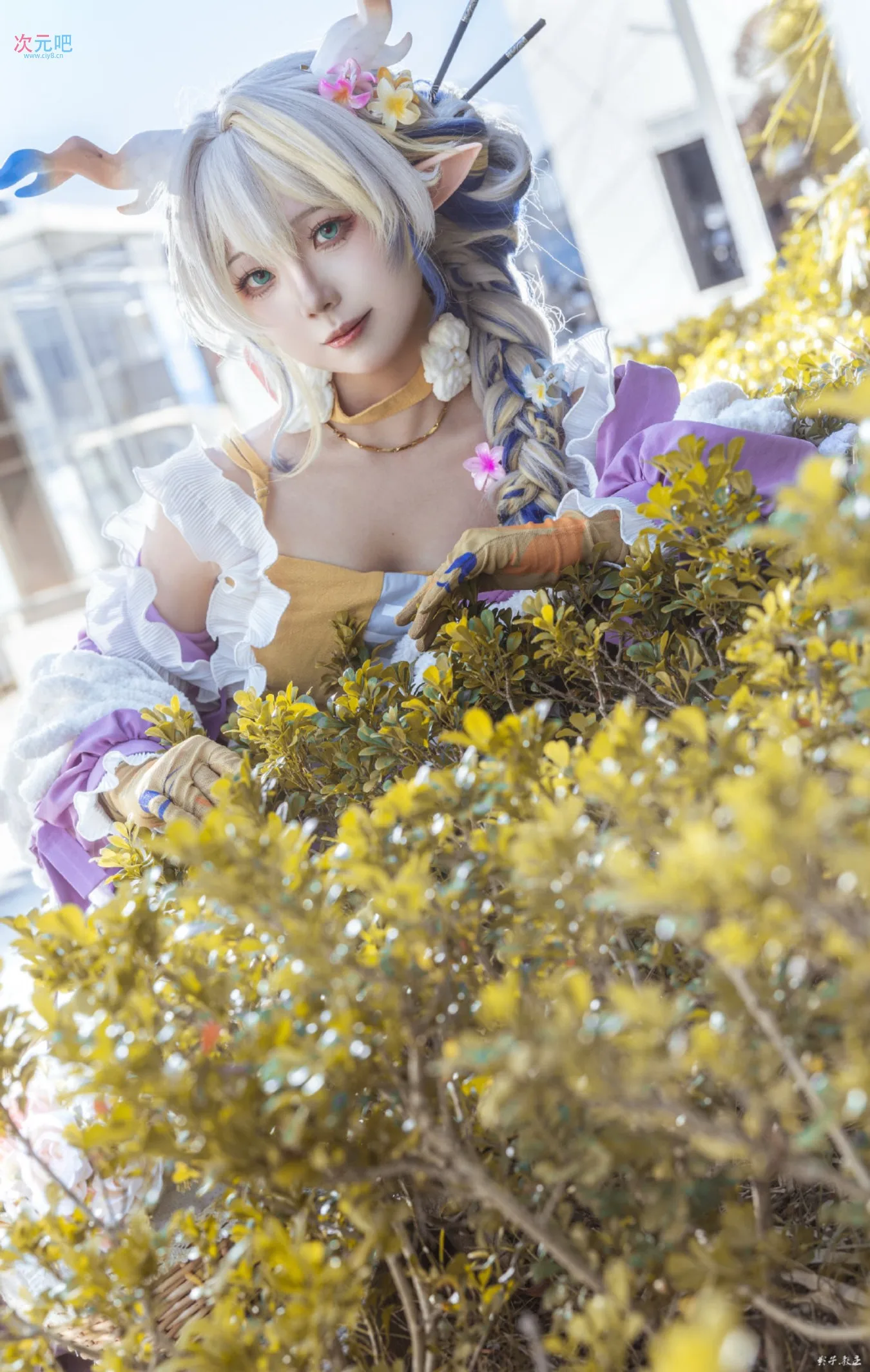 图片[5]-二次元COS分享[COSplay]春日宴，绿酒一杯歌一遍-二次元COS分享次元吧