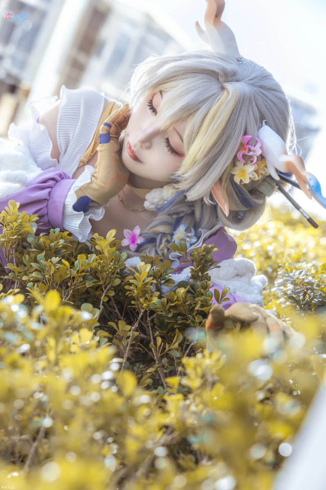 图片[9]-二次元COS分享[COSplay]春日宴，绿酒一杯歌一遍-二次元COS分享次元吧