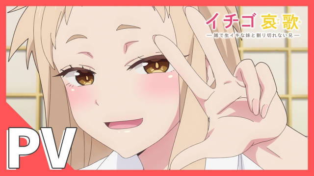 《草莓哀歌～缺根筋的活泼妹妹与无法释怀的哥哥～》公开 PV，该作将在 2026 年 1 月 4 日开播，2025 年 12 月 12 日在 AnimeFesta 档网络平台提前播出！-二次元COS分享次元吧