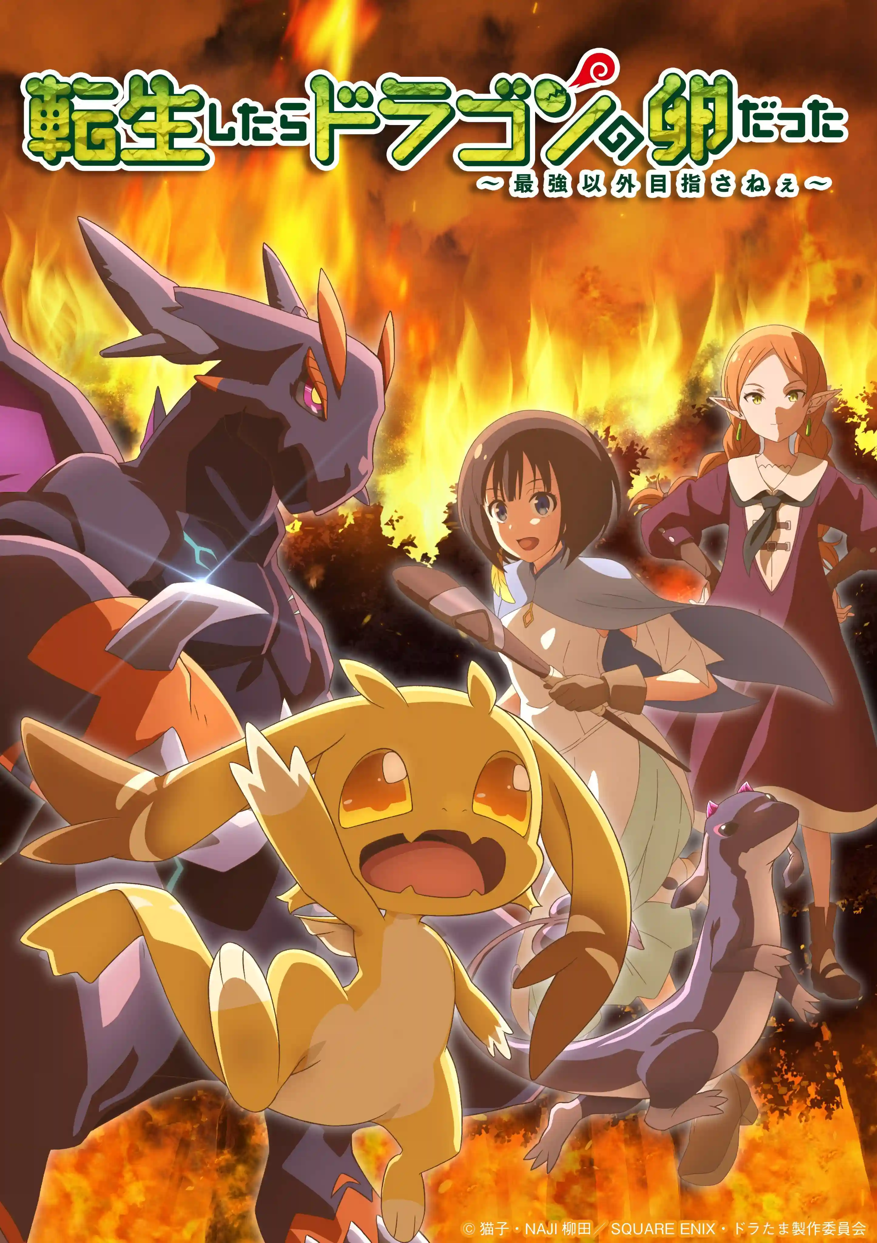 图片[1]-二次元COS分享《转生之后的我变成了龙蛋》公开正式 PV 、第二弹主视觉图，追加声优，该作将在 2026 年 1 月 10 日晚首播！-二次元COS分享次元吧