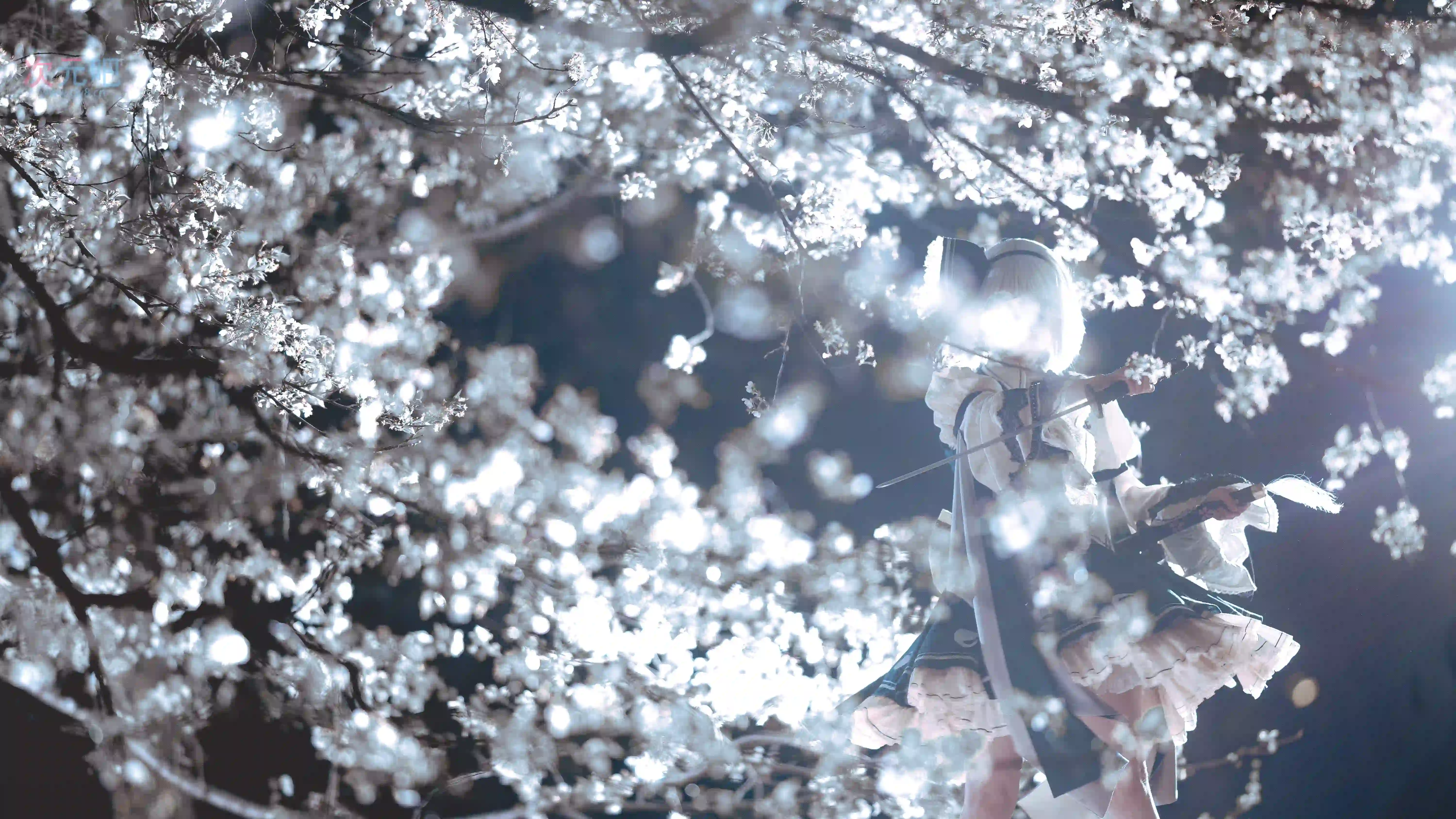 图片[2]-二次元COS分享[COSplay]东方project 魂魄妖梦 – 月下庭师-二次元COS分享次元吧